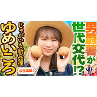 秋元真夏が北海道訓子府町で じゃがいもの新品種「ゆめいころ」を収穫！