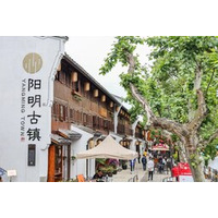 2025年王陽明心学国際会議が寧波・余姚で開幕