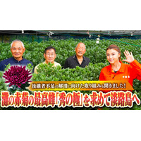 灘の赤菊の最高峰｢秀の極｣を求めて藤原紀香が淡路島へ 灘花卉部会の生産者の方々と淡路島の食材でゆる飲み