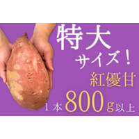 茨城県「いいものいっぱい広場」ショップの商品 約200点が「お客様送料負担なし」で販売中！