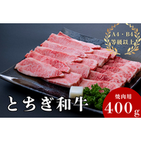 栃木県「とちぎ新鮮倉庫」ショップの商品 約30点が「お客様送料負担なし」で販売中！