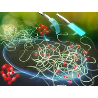 CO₂を吸収してプラスチックに変わるゴムを発明