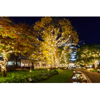 【渋谷の名所をEVで巡る。大人気周遊キャンペーン第2弾！】渋谷の紅葉とイルミネーションを都市型EVモビリティ『e-NEO』でドライブ