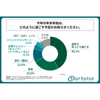 2025年～2026年の年末年始の予定は、「帰省する」よりも「自宅でゆっくり過ごす」人の方が多い！株式会社トータスが「年末年始の過ごし方と交通手段」に関する調査を実施！