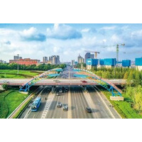 青島自由貿易区：生命健康産業は「ビーズ」を連ねて「チェーン」になる