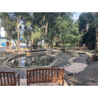 オートリブ、中部事業所のビオトープを全面リニューアル