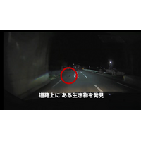 【JAF鹿児島】環境省と共同で ロードキル防止啓発動画を制作