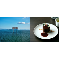 琵琶湖の恵みが織りなす濃厚な味わい。滋賀県高島市「アドベリーのチョコガナッシュと酒粕ムースのケーキ」を期間限定で提供。