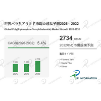 パラ系アラミド調査レポート：規模・シェア・中期経済計画の動向