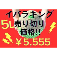 茨城県産イバラキング５Ｌが今シーズン最終価格に！ 産地直送通販サイト「ＪＡタウン」で販売中
