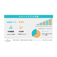 スマートグラス市場：世界調査レポート―需要、市場シェア、主要メーカー、市場規模、成長動向、トレンドおよび将来展望（2024～2033年）