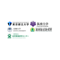 西之島で噴火後初の植物の生育を確認： コケ植物とシダ植物が切り開く海洋島の生態系形成の第一歩