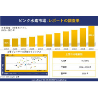 ピンク水素市場調査レポート - 世界市場規模、シェア、傾向の見通し、2026-2035年