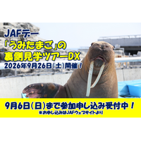 【JAF大分】大分マリーンパレス水族館「うみたまご」で、裏側見学ツアーを開催！