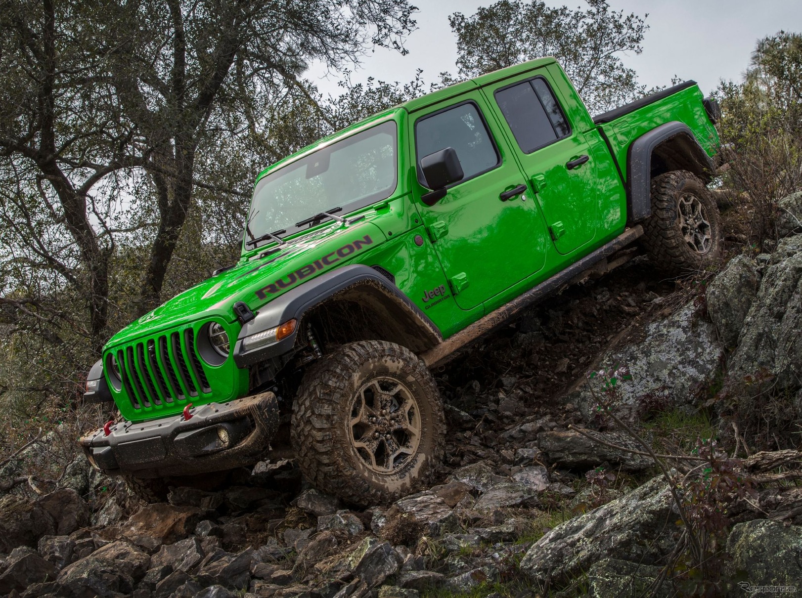 ジープ・ラディエーター の2021年モデルに用意された「ヤモリグリーン」